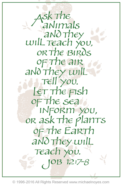 Ask the Animals, Job 12:7-8, Calligraphy Art Plaques, Inspirational Gifts